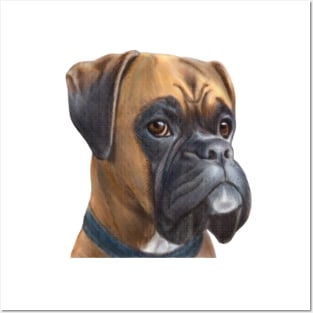 Boxer Dog Posters and Art